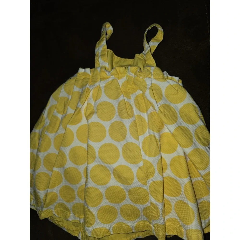 Gymboree pop daisies